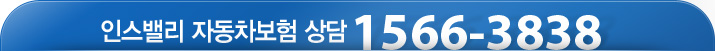 �ν��븮 �ڵ������� ���